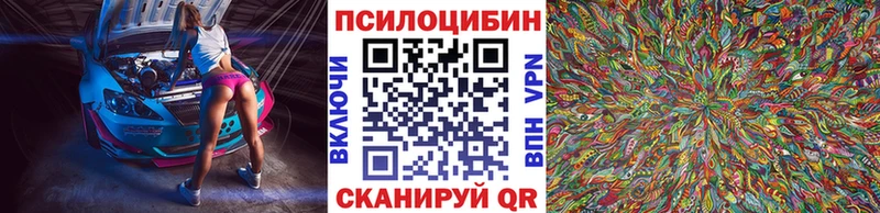 Псилоцибиновые грибы Psilocybine cubensis  Каспийск 